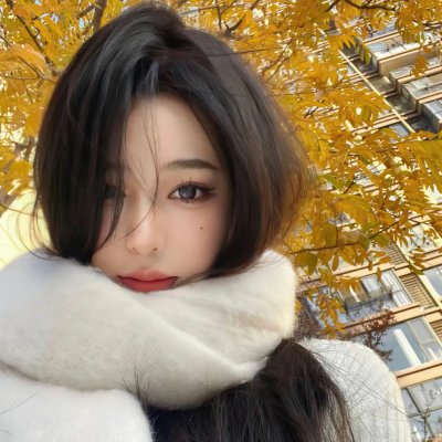 鲅鱼恋上猫